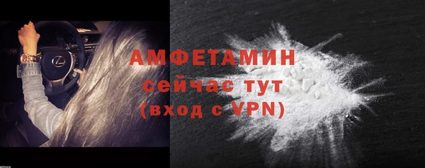 прущие грибы Горнозаводск