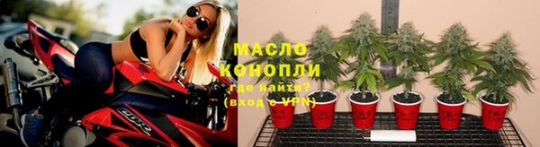 стаф Горняк