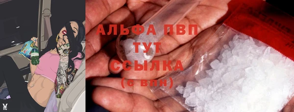 стаф Горняк
