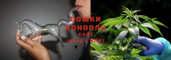 стаф Горняк