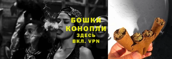 гидра Горно-Алтайск