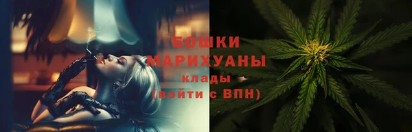 прущие грибы Горнозаводск