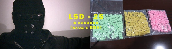 стаф Горняк