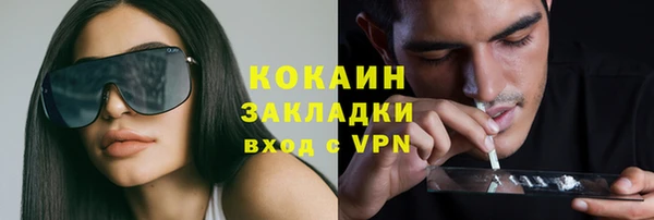 стаф Горняк