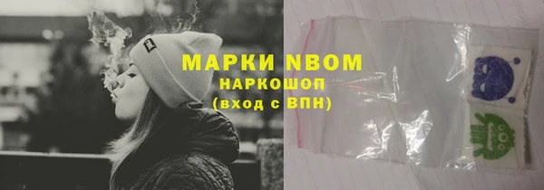 стаф Горняк