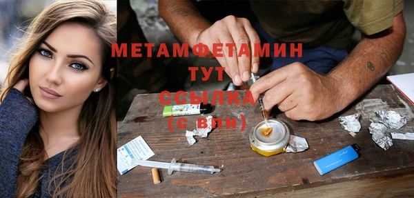 прущие грибы Горнозаводск