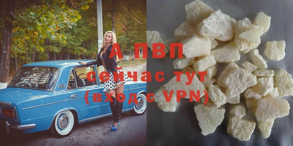прущие грибы Горнозаводск