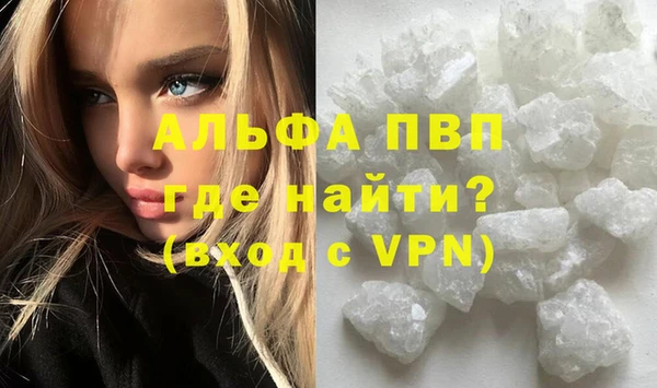 прущие грибы Горнозаводск
