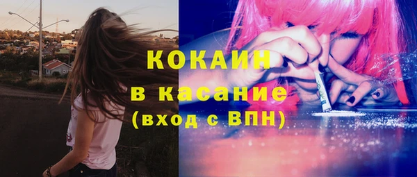 стаф Горняк