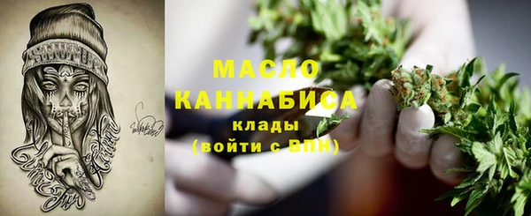 стаф Горняк