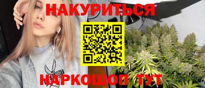 индика Бийск