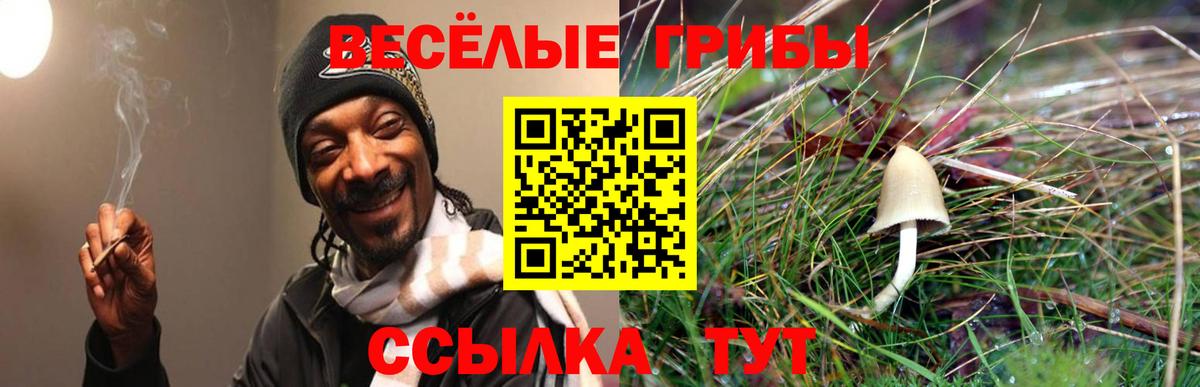 Галлюциногенные грибы прущие грибы Джанкой