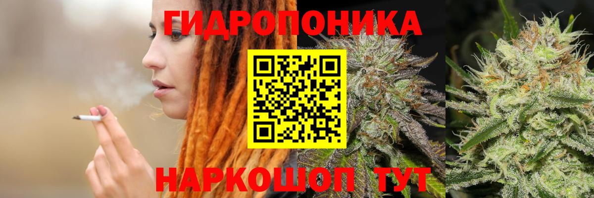 Бошки Шишки конопля  Вход с VPN  Джанкой  Марихуана конопля  Шишки марихуана MAZAR 